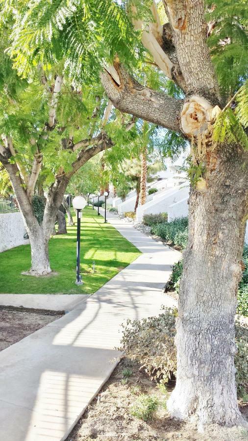 Palm Canyon Villas Palm Springs Eksteriør billede